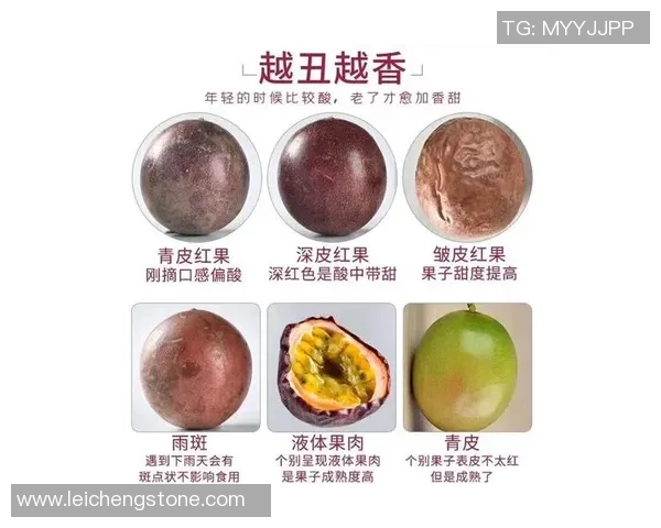 水果的奇妙世界：探索不同种类水果的营养价值与健康益处